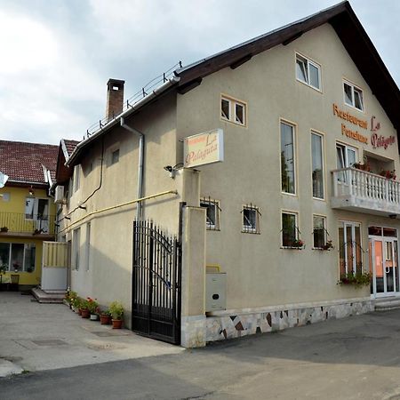 Pensiunea La Palaguta Baia Mare Zewnętrze zdjęcie