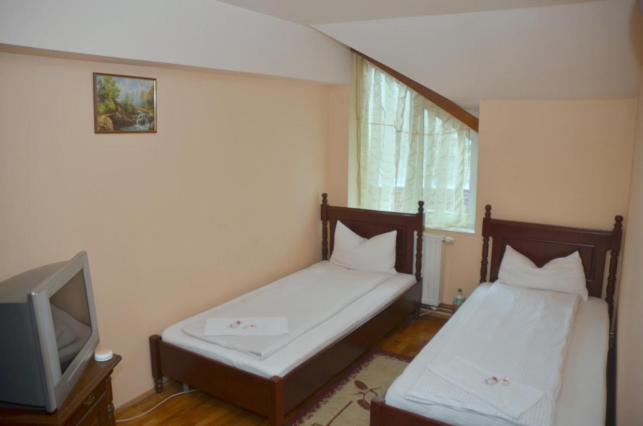 Pensiunea La Palaguta Baia Mare Zewnętrze zdjęcie
