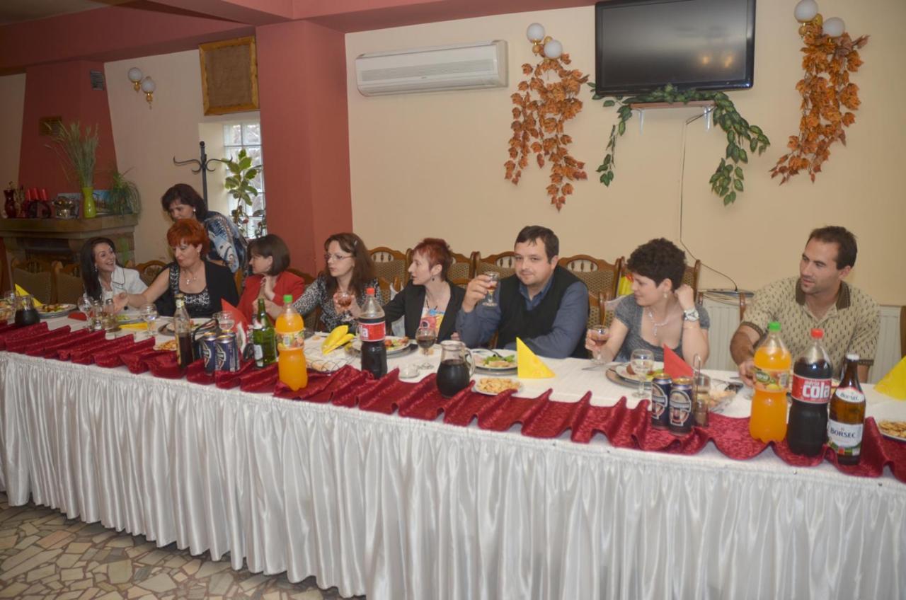 Pensiunea La Palaguta Baia Mare Zewnętrze zdjęcie