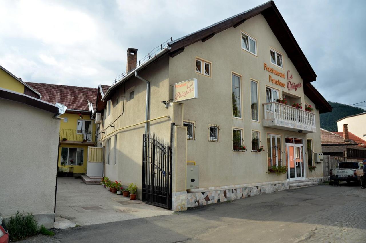 Pensiunea La Palaguta Baia Mare Zewnętrze zdjęcie