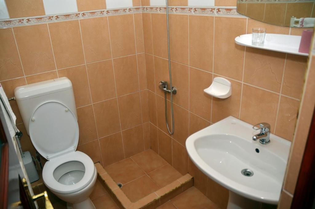 Pensiunea La Palaguta Baia Mare Pokój zdjęcie
