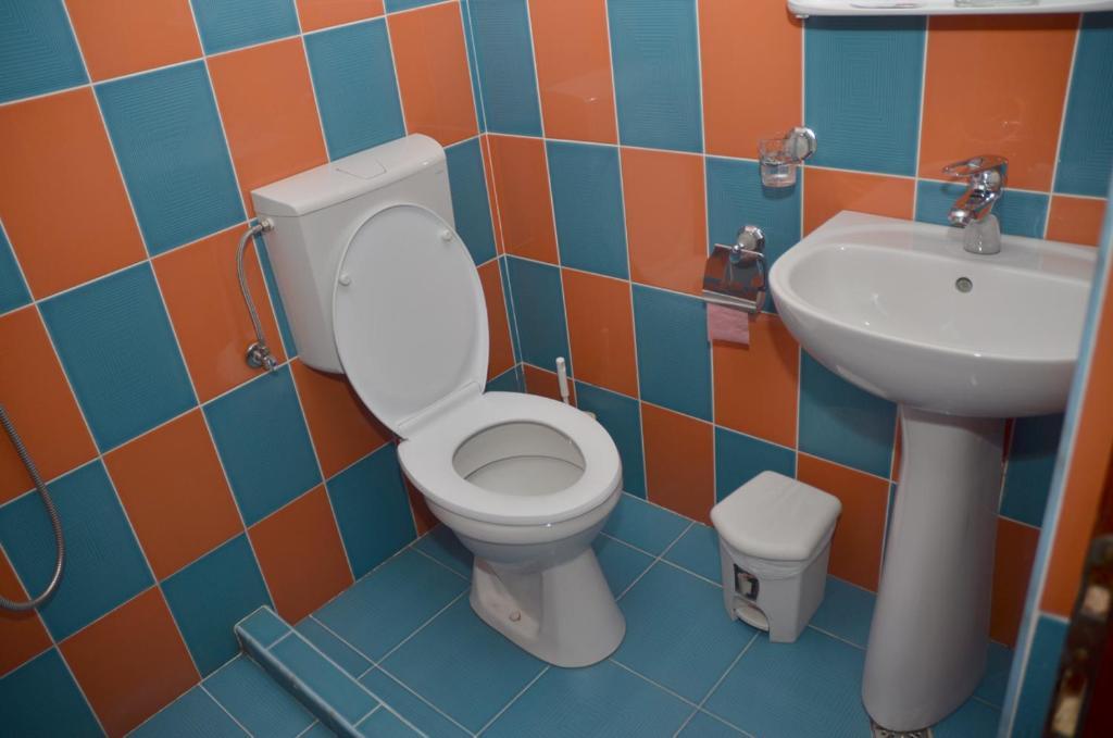 Pensiunea La Palaguta Baia Mare Pokój zdjęcie